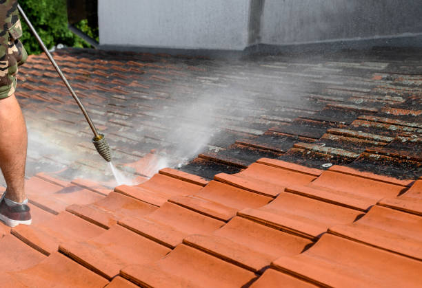 Best Fence Pressure Washing  in Catonsville, MD