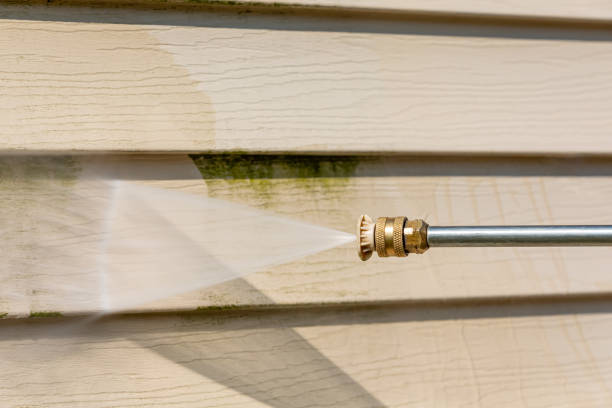 Best Roof Power Washing Services  in Catonsville, MD
